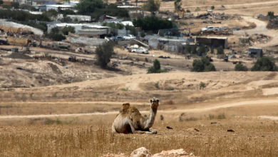 Photo of حالة الطقس: ارتفاع طفيف في درجات الحرارة