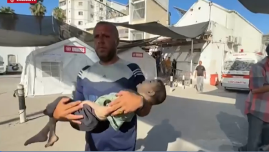 Photo of تحذيرات دولية من مجاعة بلغت حدا “حرجا” في غزة