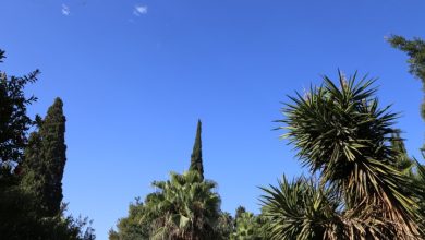 Photo of حالة الطقس: انخفاض طفيف على درجات الحرارة