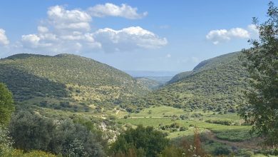 Photo of حالة الطقس: ارتفاع طفيف في درجات الحرارة