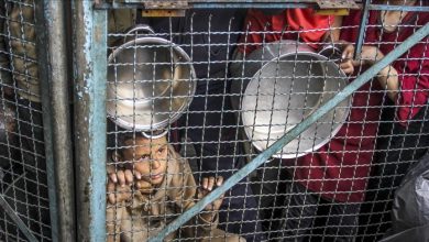 Photo of حكومة غزة: أكثر من 3500 طفل يواجهون خطر الموت جوعا