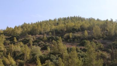 Photo of حالة الطقس: تراجع طفيف في موجة الحر