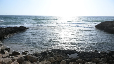 Photo of حالة الطقس: غائم جزئيا إلى صاف