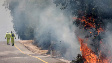 Photo of حزب الله يتصدى لمقاتلة إسرائيلية ويشن 6 عمليات بالجولان وكفر شوبا