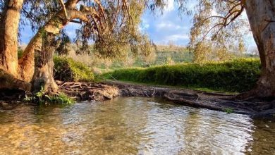 Photo of حالة الطقس: أجواء حارة