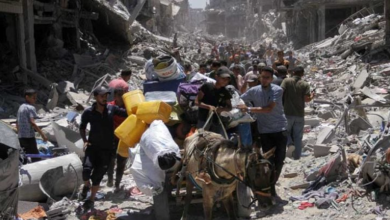 Photo of مصادر طبية فلسطينية: ارتفاع ضحايا سوء التغذية في غزة إلى 37 شهيدا