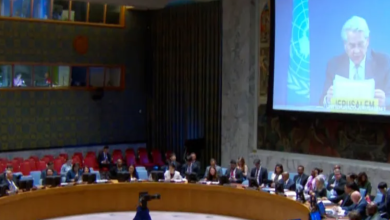 Photo of الفلسطينيون يحصلون على مزيد من الحقوق في منظمة الصحة العالمية