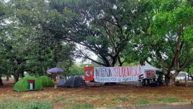 Photo of جامعة باليرمو الإيطالية تقرر مقاطعة نظيراتها الإسرائيلية