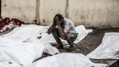 Photo of صحة غزة: مستشفى واحد يقدم الخدمات لمليون شخص بالقطاع