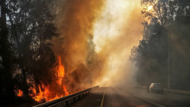 Photo of دبلوماسي إسرائيلي: هذا ما يمكن أن يفعله حزب الله بنا في 3 أيام