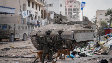 Photo of الجيش الإسرائيلي: لدينا أسابيع فقط لإنهاء العملية العسكرية برفح