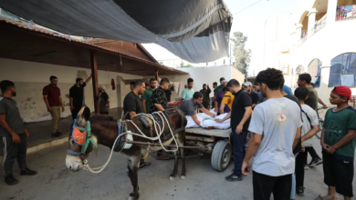 Photo of شهداء في غارات متواصلة على غزة والاحتلال يقتحم حي الشجاعية