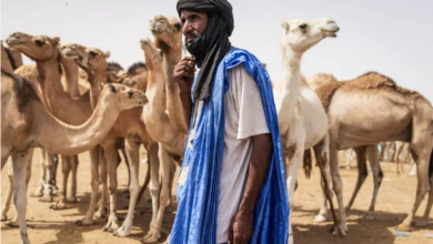 Photo of رئاسيات موريتانيا.. نحو مليوني ناخب يتوجهون لمراكز الاقتراع