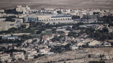 Photo of مصر: إسرائيل تستغل حرب غزة في تكريس التوسع الاستيطاني في الضفة الغربية- (تدوينة)