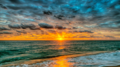 Photo of حالة الطقس: جو صيفي حار