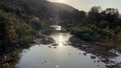 Photo of حالة الطقس: أجواء شديدة الحرارة