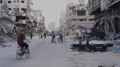 Photo of المقررة الأممية لفلسطين: الإبادة بغزة نتيجة إفلات إسرائيل المستمر من العقاب