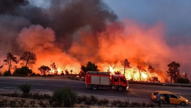 Photo of مخاوف من السيناريو السنوي.. الجزائر تسجل 73 حريقا خلال 48 ساعة فقط