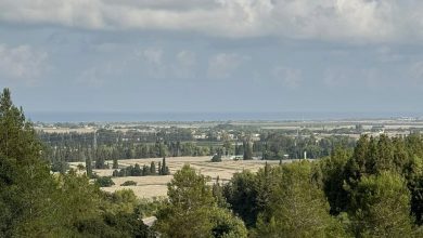 Photo of حالة الطقس: أجواء حارة