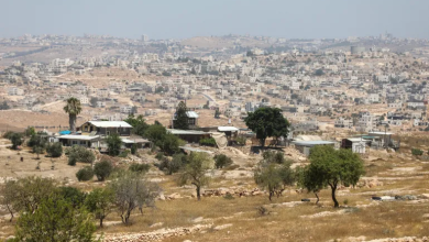 Photo of بحماية قوات الاحتلال.. اعتداءات المستوطنين تقض مضجع قرية فلسطينية بالضفة