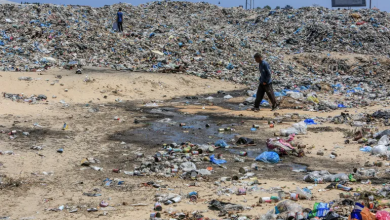 Photo of منظمة الصحة العالمية تحذر من خطر تفشي الأوبئة في غزة