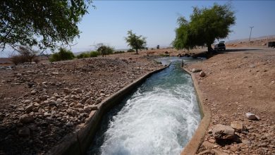 Photo of نبع العوجا.. ثروة مائية مهددة بالاستيطان الإسرائيلي