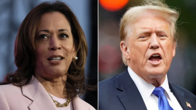 Photo of استطلاع جديد: ترامب سيهزم هاريس بسهولة