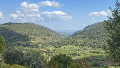 Photo of حالة الطقس: انخفاض طفيف في درجات الحرارة