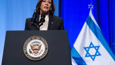 Photo of بوليتيكو: هاريس قد لا تكون طوق النجاة المطلوب لغزة