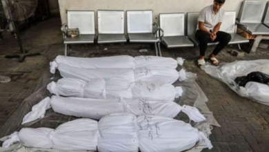 Photo of أطباء أميركيون: الضحايا في غزة قد يتجاوزون 92 ألفا