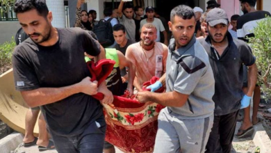 Photo of صحة غزة: استشهاد 66 شخصا في 3 مجازر خلال الـ24 ساعة