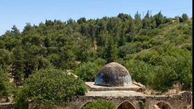 Photo of حالة الطقس: استمرار تأثير الكتلة الهوائية الحارة