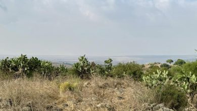 Photo of حالة الطقس: أجواء شديدة الحرارة