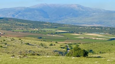 Photo of حالة الطقس: أجواء اعتيادية لمثل هذا الوقت