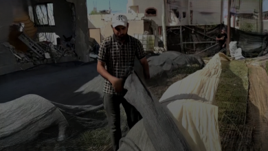 Photo of العدوان الإسرائيلي يدمر المواسم الزراعية في غزة ويحرم الفلسطينيين طعامهم