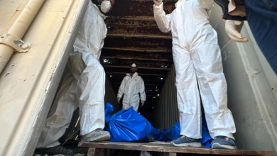 Photo of دفن أكثر من 80 جثة متحللة كان الاحتلال يحتجزها خلال حربه على غزة