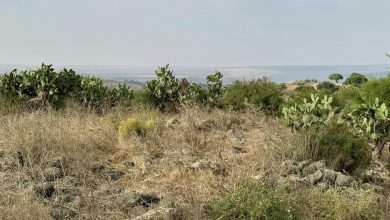 Photo of حالة الطقس: استمرار تأثر البلاد بالكتلة الهوائية الحارة