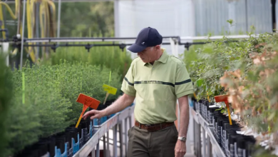 Photo of ميديا بارت: كيف تلاعب منظمو الأولمبياد بالأهداف البيئية؟