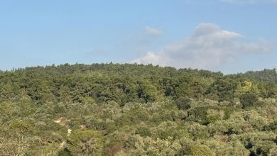 Photo of حالة الطقس: انخفاض طفيف في درجات الحرارة