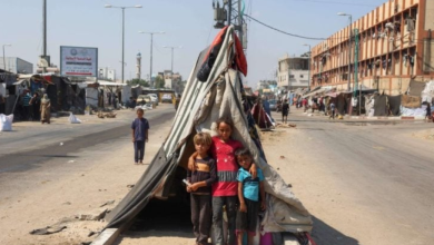 Photo of الأمم المتحدة تطلب هدنة لسبعة أيام في غزة لتلقيح 640 ألف طفل ضد شلل الأطفال