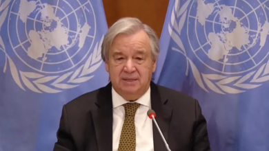 Photo of غوتيريش يدعو لهدنة فورية لمكافحة شلل الأطفال بغزة وحماس ترحب