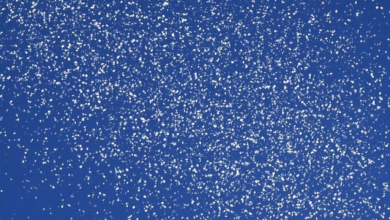 Photo of منشورات إسرائيلية تطالب بإخلاء مخيم المغازي وسط قطاع غزة- (صورة)