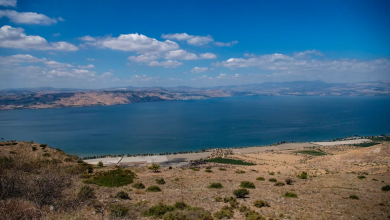 Photo of حالة الطقس: ارتفاع آخر في درجات الحرارة