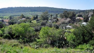 Photo of حالة الطقس: أجواء اعتيادية لمثل هذا الوقت