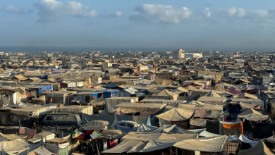 Photo of مقررة أممية تستهجن الهجمات ضد الحقوقيين ومحو الحيز المدني بغزة