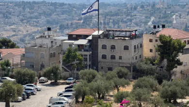 Photo of خبير مقدسي: لهذه الأسباب تستهدف الجمعيات الاستيطانية جبل الزيتون (شاهد)