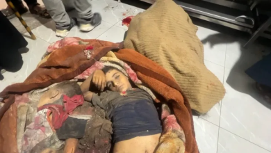 Photo of سيلين وسيلا ونور وحسن وإبراهيم.. خمسة أطفال قتلتهم إسرائيل