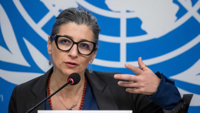 Photo of مقررة أممية تحذر من امتداد “العنف الإبادي الإسرائيلي” للضفة