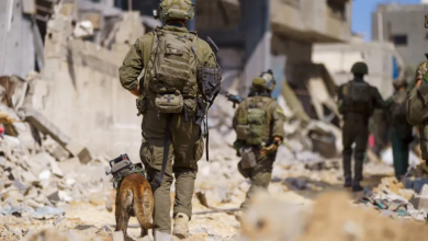 Photo of الاحتلال يعلن استعادة جثث 6 أسرى من غزة وبايدن “حزين” على أحدهم