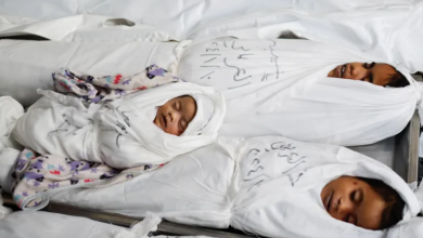 Photo of جدعون ليفي: العالم يبكي 6 قتلى ويتجاهل 40 ألف قتيل